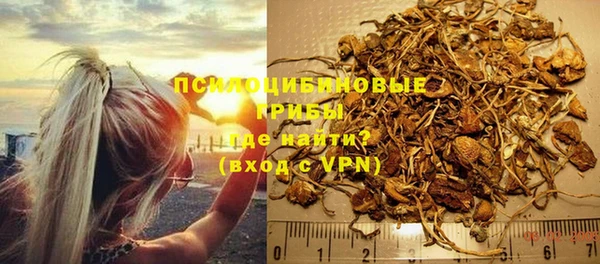 бошки Аркадак