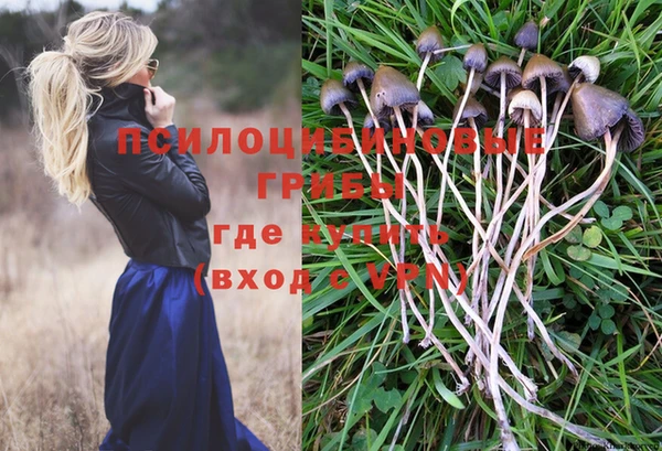 бошки Аркадак