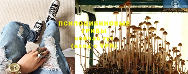 прущий лед Арсеньев