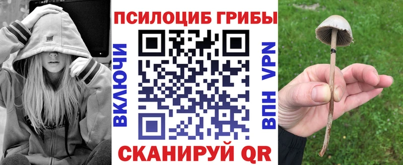 Галлюциногенные грибы ЛСД  Енисейск 
