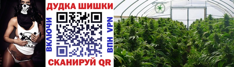 что такое   Енисейск  Шишки марихуана ГИДРОПОН 
